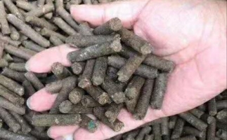 水果渣越來越受歡迎，因為它的出現(xiàn)—生物質(zhì)顆粒機(jī)設(shè)備