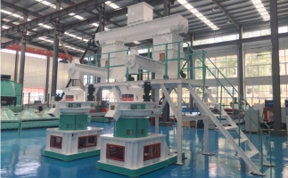 補貼時代，生物質(zhì)顆粒市場如何了呢？你想知道的在這里