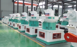 木屑顆粒機(jī)有什么優(yōu)勢(shì)和性能呢？