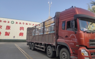 忙碌的五月，忙碌的發(fā)貨，金格瑞顆粒機生產線發(fā)往全國各地