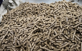 鋸末顆粒機的顆粒燃料比煤炭貴，為什么還有那么多人用？