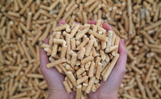 夏季儲(chǔ)存鋸末顆粒機(jī)生物質(zhì)顆粒的方法，要認(rèn)真看喲
