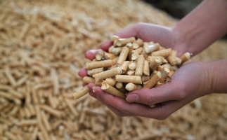 為什么越來越多人選鋸末顆粒機(jī)的生物質(zhì)顆粒取暖？