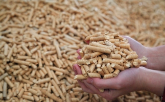 鋸末顆粒機(jī)生物質(zhì)顆粒，你需要知道的常識(shí)問題