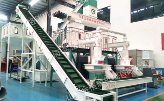 2023年木屑顆粒機(jī)生產(chǎn)生物質(zhì)燃料顆粒行情、利潤(rùn)怎么樣，投資多少大約？