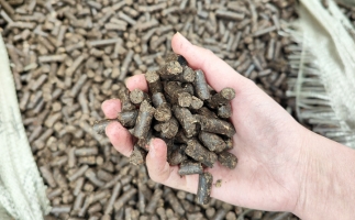 木屑顆粒機(jī)將秸稈變廢為寶，降碳節(jié)能一舉兩得